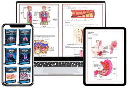 Medical Study Notes & Practice Exams Bundle